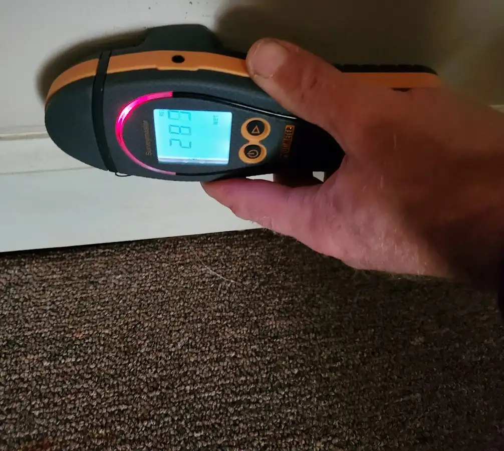 Moisture detection at baseboard during Sewage Cleanup & Sanitation in Uniontown